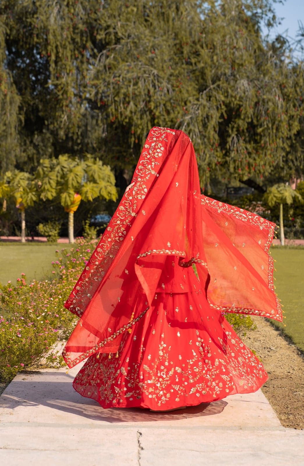 Scarlet red lehenga with the veil dupatta lifted — back study, embroidered borders flaring across the lawn at sunset.